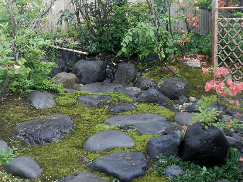 ヤマツツジ咲く内露地の景