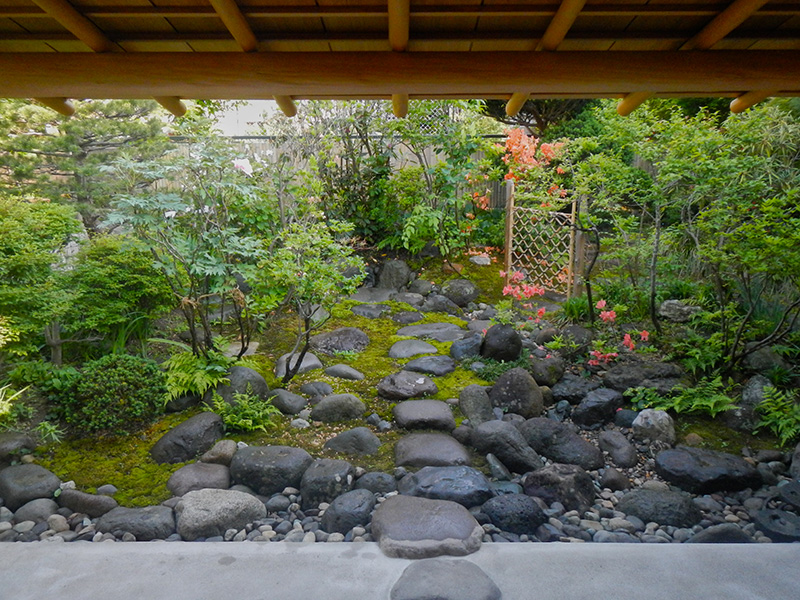 張り出した土庇が庭の景色を引き締め、引き立てる茶室からの眺め