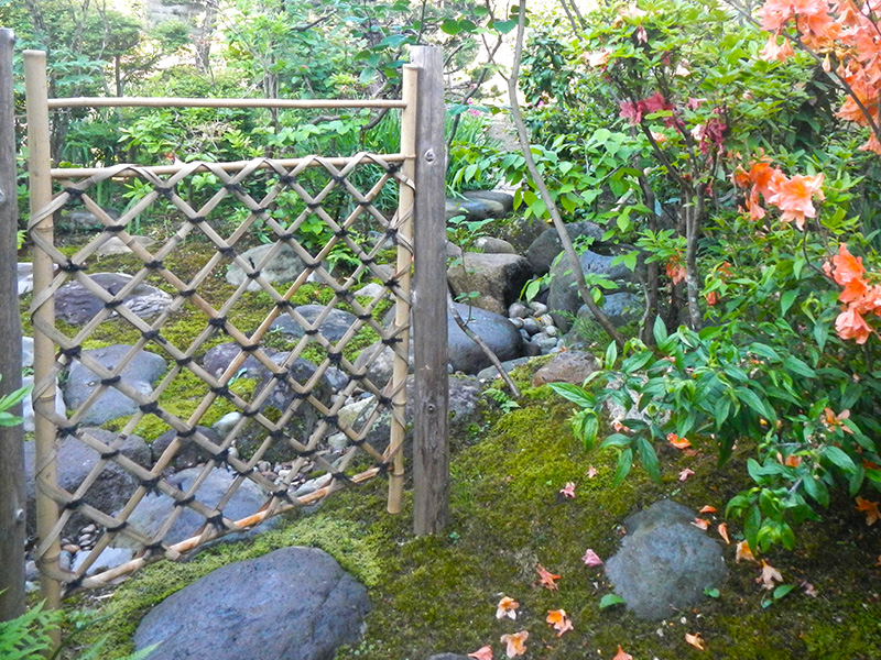 中門付近。枝折戸と山ツツジ