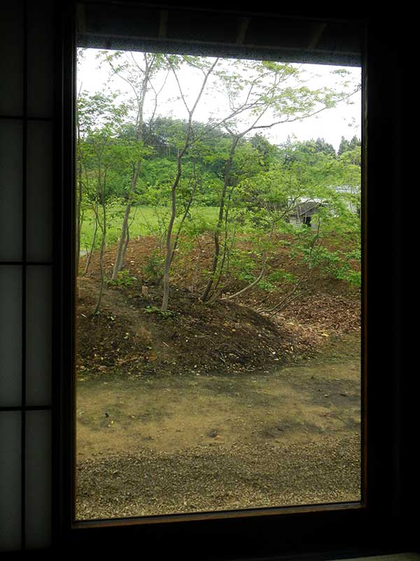 窓越しに森を見る