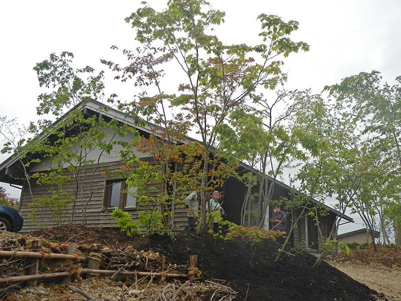 工事後の庭の様子