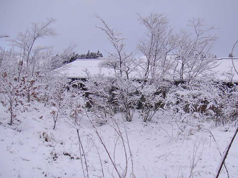雪化粧の庭