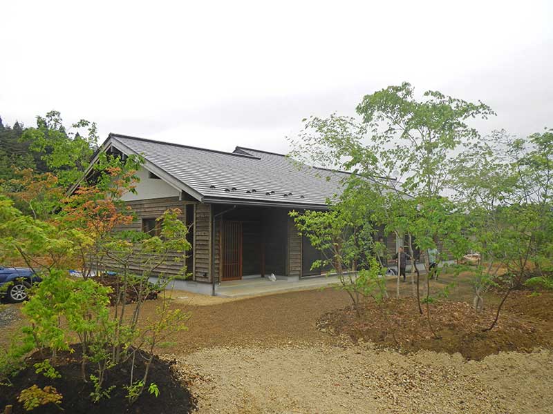 新緑の頃、完工直後の庭