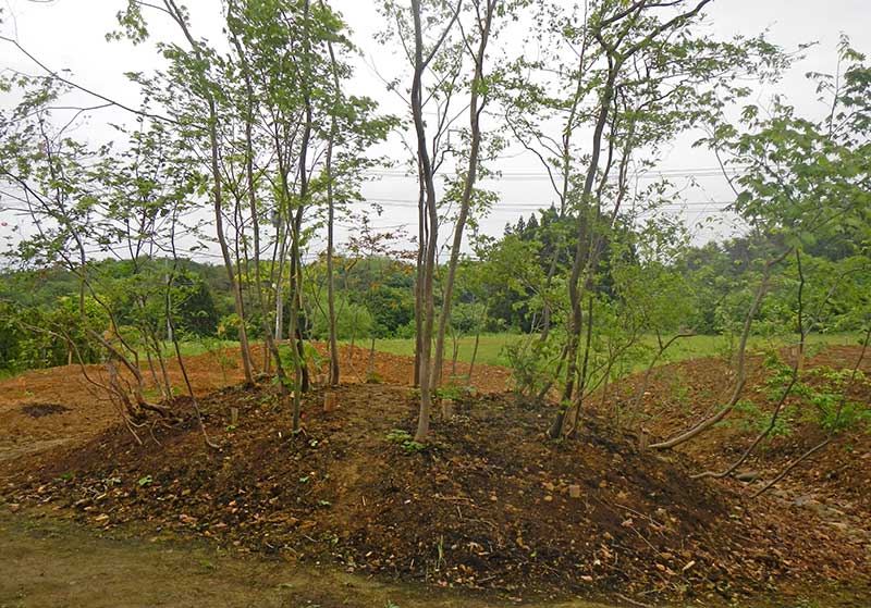 樹を寄せて小さな森を作り、森を集めて山の景色をつくる