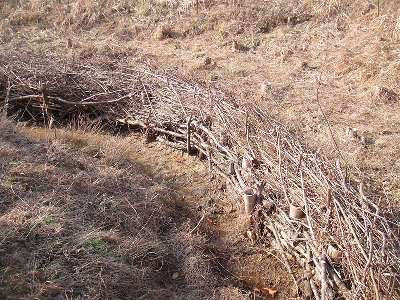 盛り土で作った山の谷川に設けた柵（しがらみ）