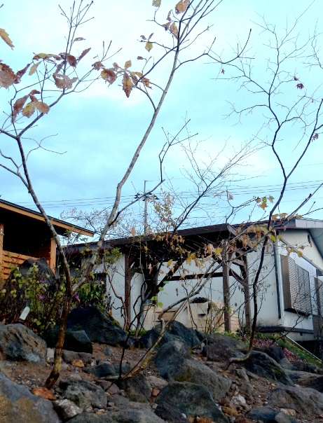 庭の中央部にある高低差１ｍの法面を山の景色に