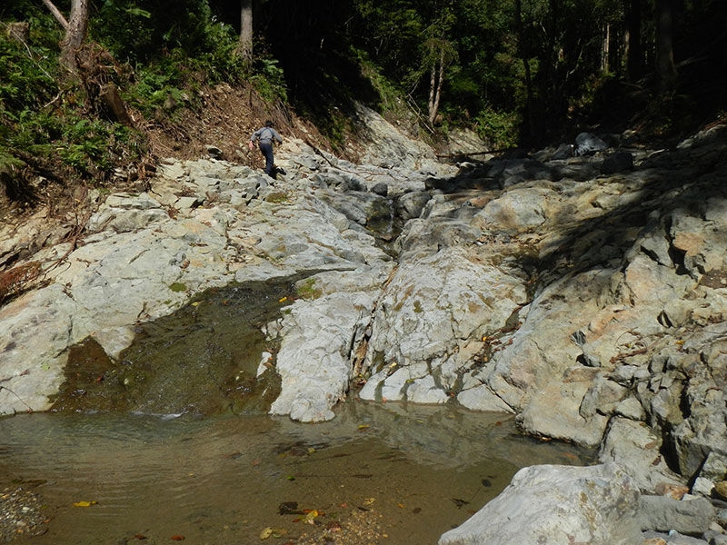 造園計画は作庭地近くの山の調査から