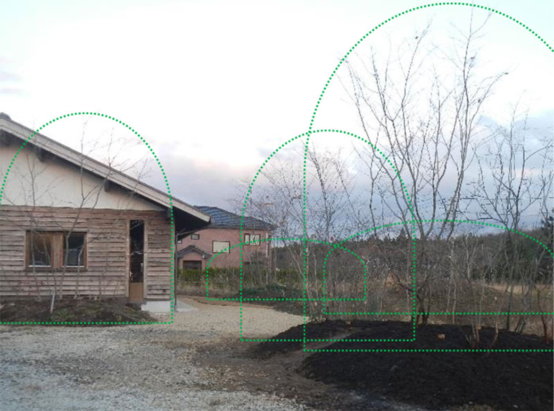 大小の群落を点在させる