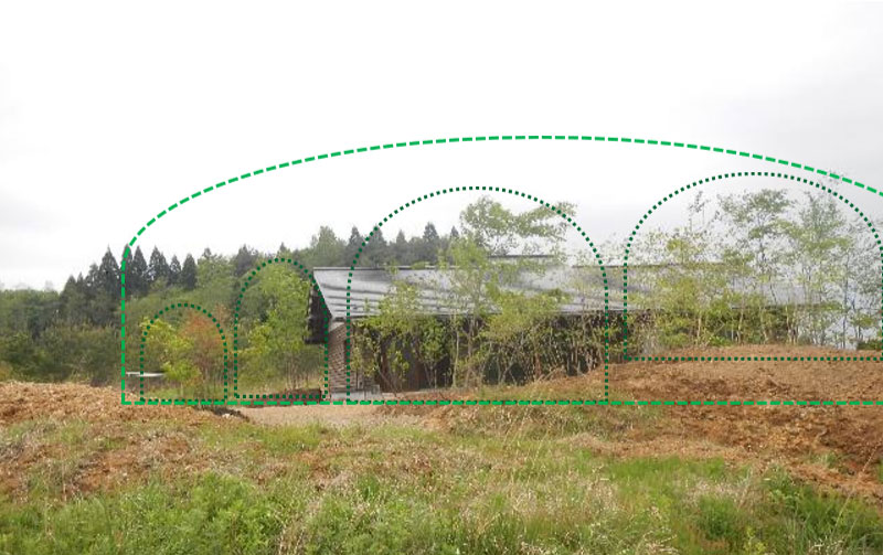 庭に樹々の群落をつくる