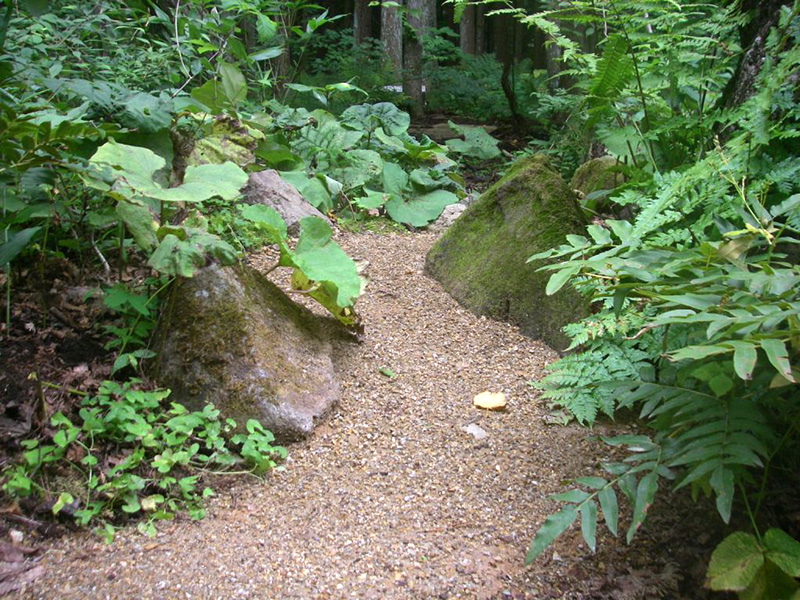 野趣的な小砂利の道